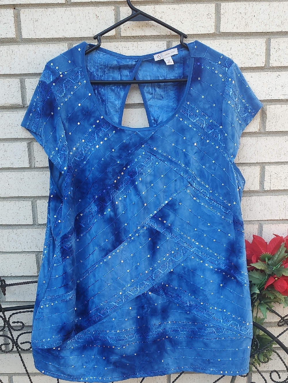 Blue Top* - Picture 6 of 10